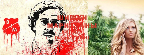мдпв Пересвет